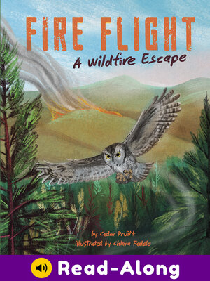 cover image of Fire Flight
